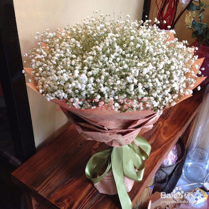 如何种植满天星