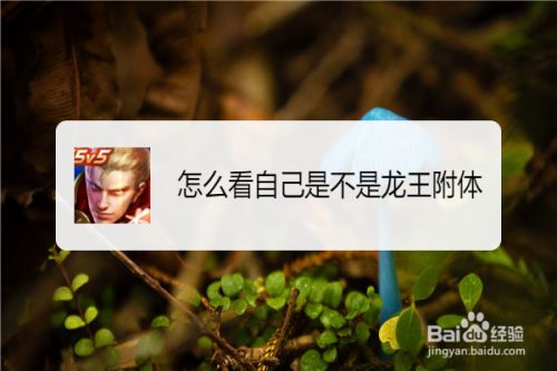 怎么看自己是不是龙王附体