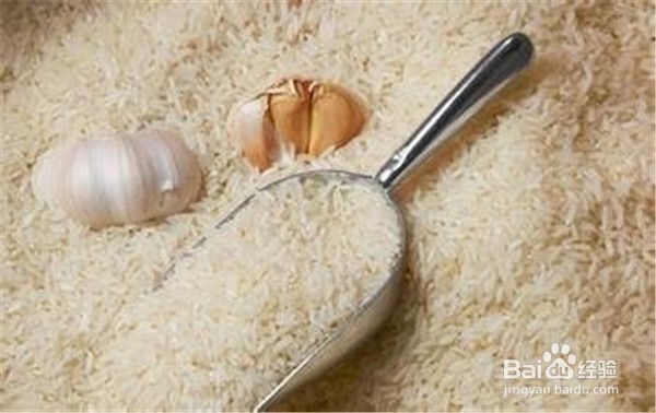 家中如何保存大米?