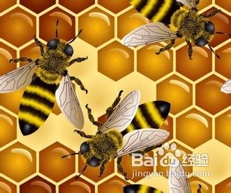 蜂胶的作用与功效，选购蜂胶哪个牌子好