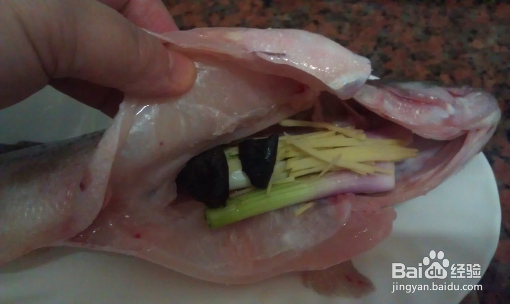 蒸功夫--油榄角蒸鲈鱼