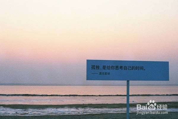 孤独的阿那亚