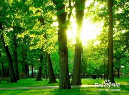 在家办公怎么保护眼睛?