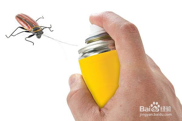 家庭如何除蟑螂效果最好