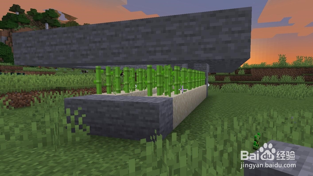 我的世界怎么做自动甘蔗收割机