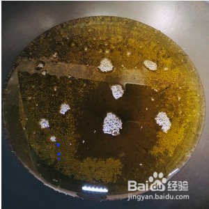 椒盐蘑菇-超好吃的下酒菜