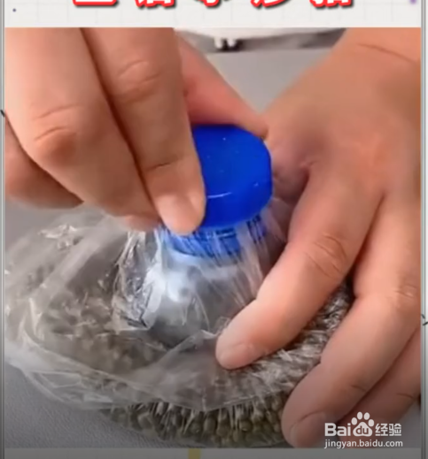 如何将矿泉水瓶变成神器呢?