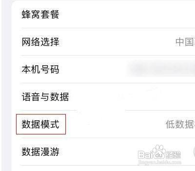 苹果13如何关闭低数据模式