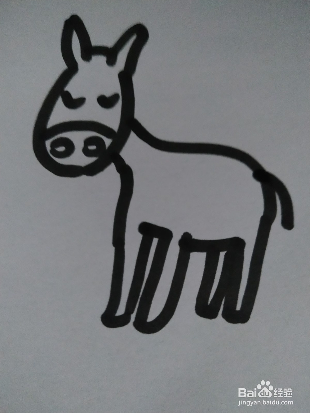 毛驴的简笔画技法16