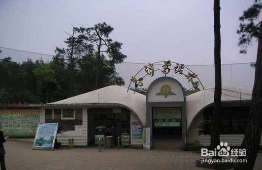 岳麓山旅游指南