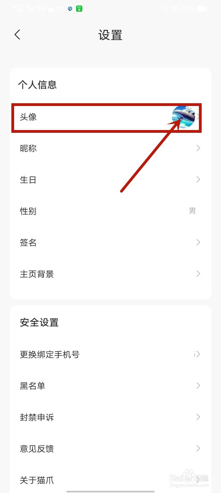 猫爪app头像怎么换