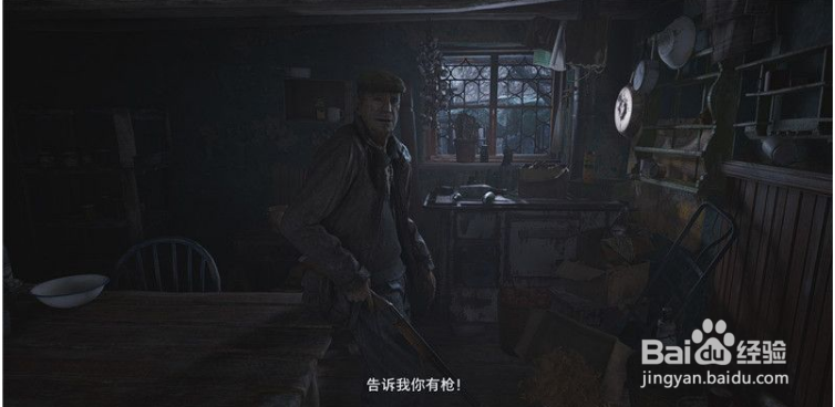 生化危机8 收集篇 文件