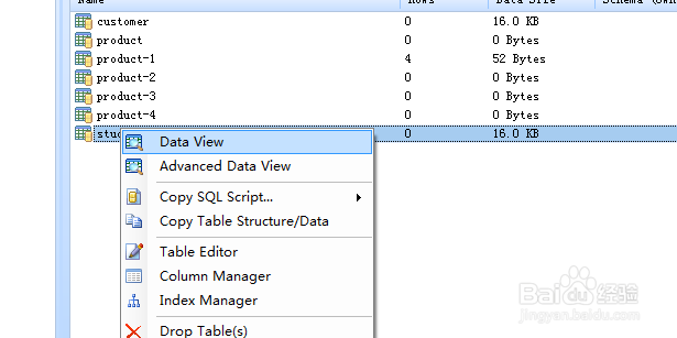 如何在DB Master生成数据库表的ODT格式报表