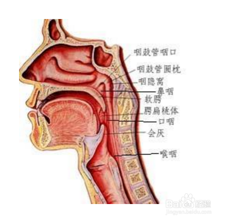 唱歌如何松牙关