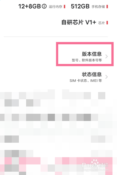 iqooneo5的开发者选项在哪里