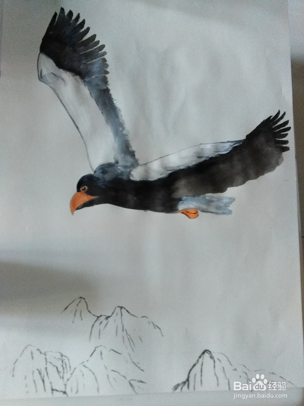 大鹏展翅的画法