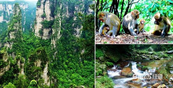 张家界自助游攻略了解线路玩法？先看这篇攻略