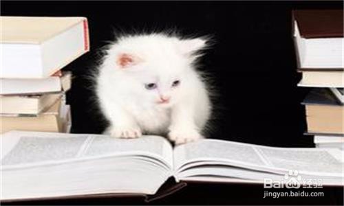 汉硕考研在暑期如何合理安排复习时间