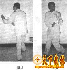 九宫八卦拳青龙探爪式