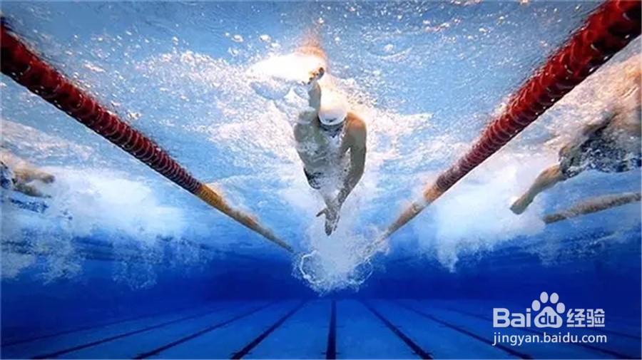 分享自己的自由泳游泳经验