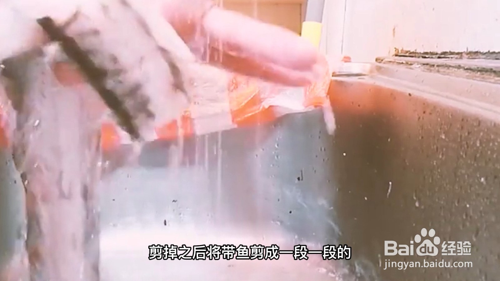 带鱼怎么清洗