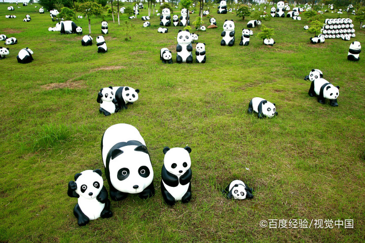 种草坪的步骤