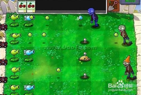 《植物大战僵尸》第一大关详细流程攻略