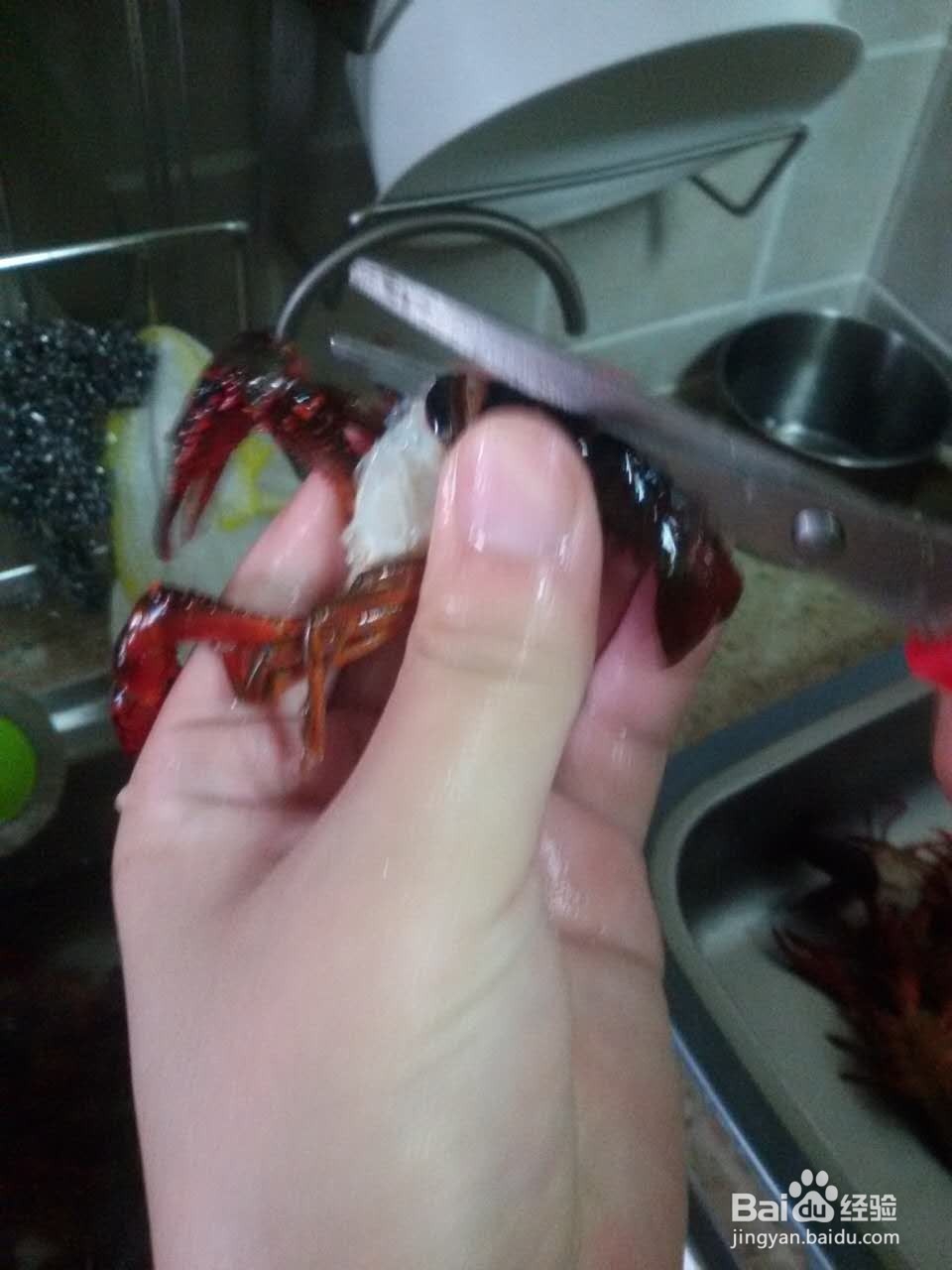 如何清洗小龙虾?