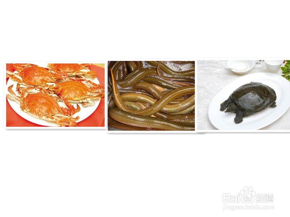 哪些食物一起吃会相克（3）