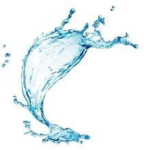 肾阳虚的饮食注意什么