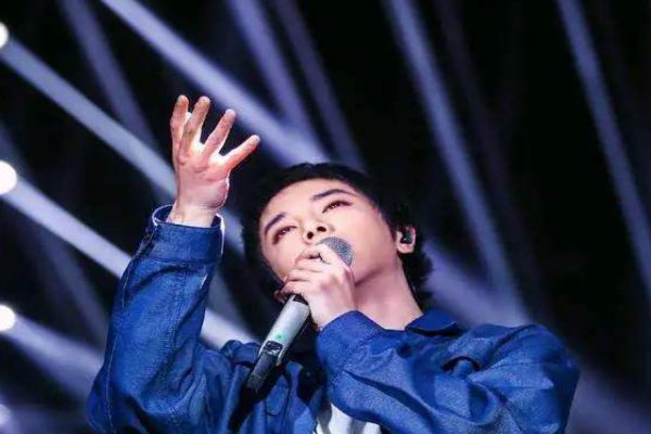 我曾为那爱情掉过几滴泪有人在我心上扮演过土匪是杨小壮的什么歌