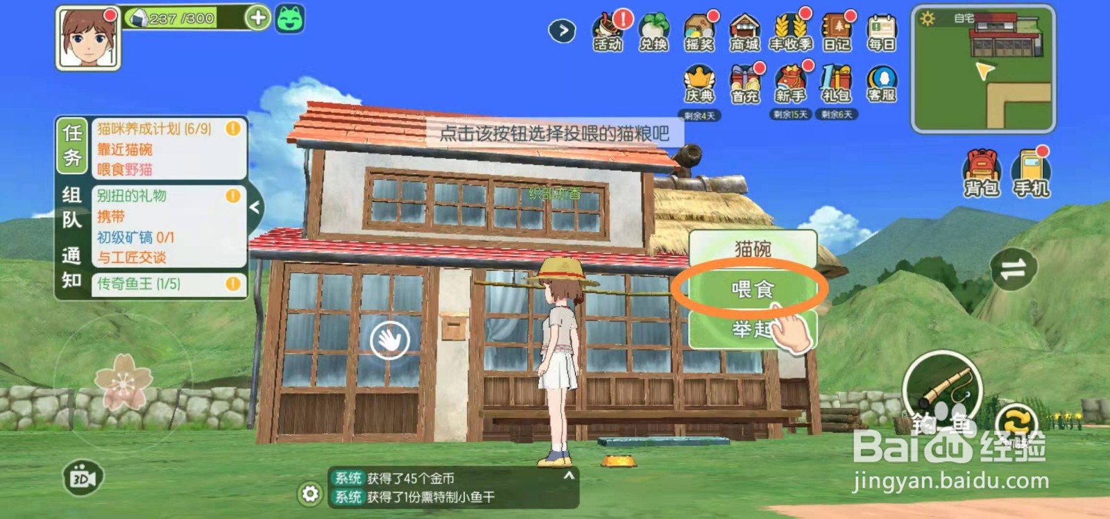 小森生活怎么领养猫咪