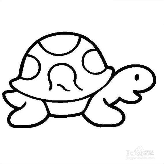真正的乌龟怎么画图片