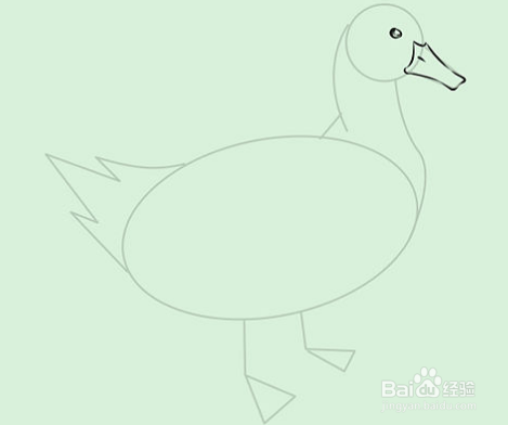 怎样画鸭子如何画白鸭子铅笔画