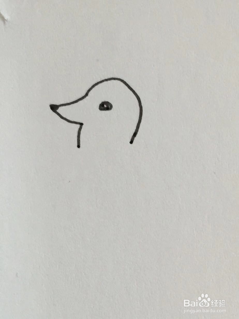 插画教程之迷你刺猬