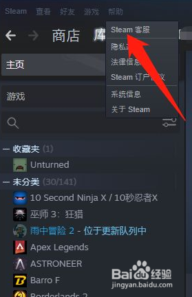 steamapi域名怎么填