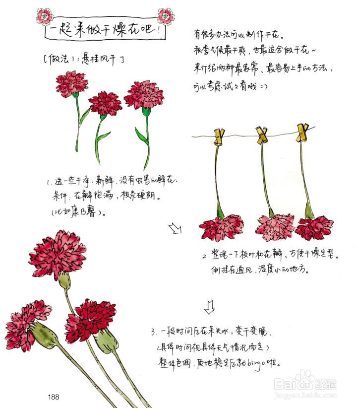 玫瑰花制作干花的方法