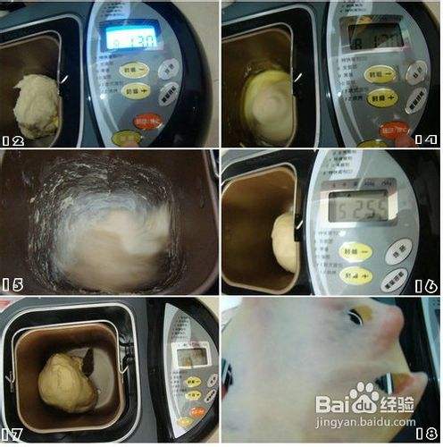 东菱面包机做面包的方法