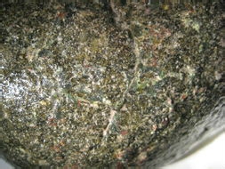 翡翠鉴定：[5]翡翠原石的基础鉴定方法