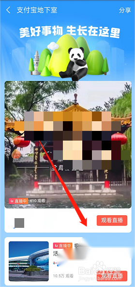 支付宝地下室直播怎么进入