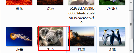 如何设置漂流瓶头像？
