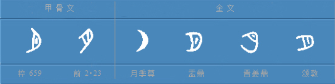 甲骨文月字怎么写