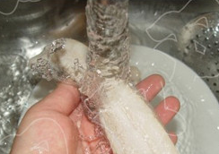制作济南把子肉的步骤