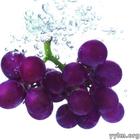 眼睛保健的6大营养素