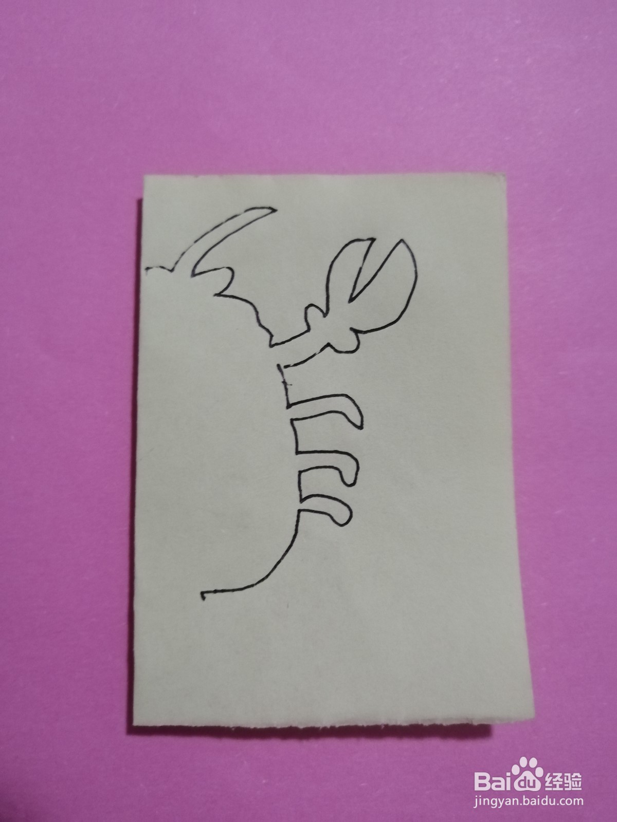 简单的龙虾怎么剪