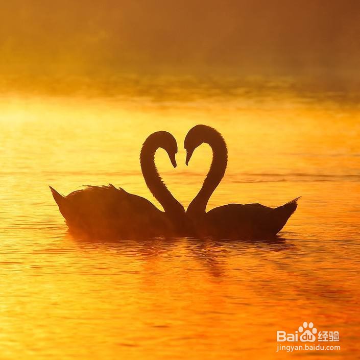 凡事有交代，件件有着落，事事有回音