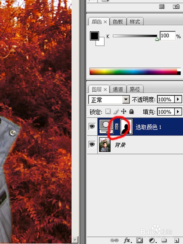 怎样改变照片中背景的色彩