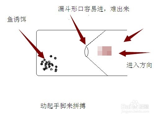 如何制作简易捕鱼、虾工具野外实用技巧