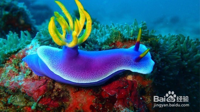 仙本那旅拍攻略