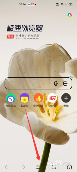极速浏览器怎么设置跟随网页变色